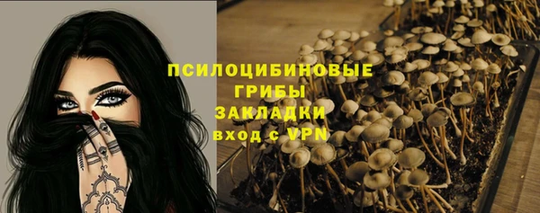 прущий лед Алексин