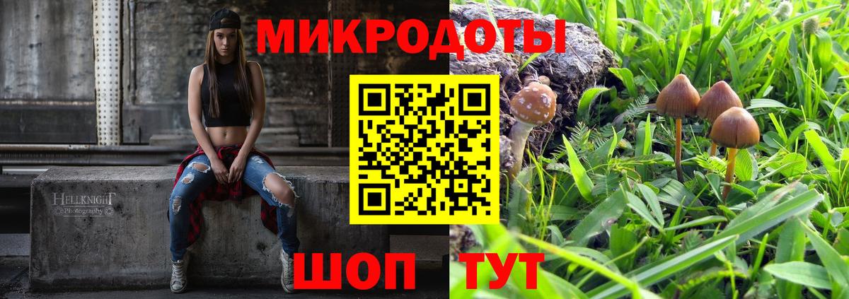 Чусовой  Псилоцибиновые грибы мухоморы  купить наркотики сайты  Вход с VPN 